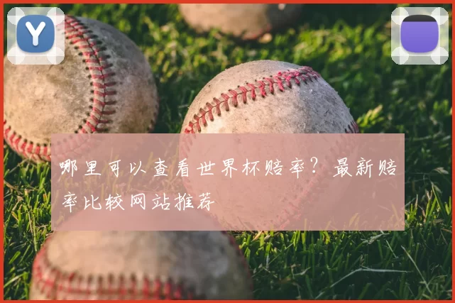 哪里可以查看世界杯赔率?最新赔率比较网站推荐
