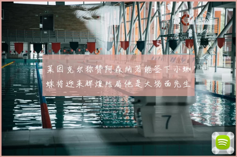 莱因克尔称赞阿森纳若能签下小蜘蛛将迎来辉煌结局他是大场面先生的最佳人选