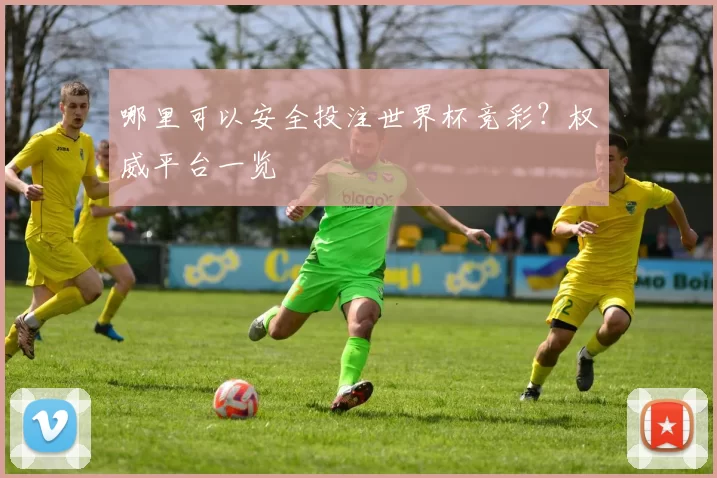 哪里可以安全投注世界杯竞彩？权威平台一览