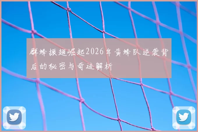 群蜂振翅崛起2026年黄蜂队逆袭背后的秘密与奇迹解析