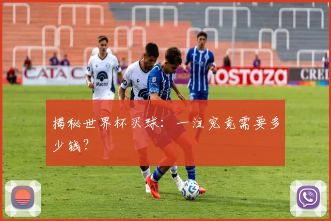 揭秘世界杯买球:一注究竟需要多少钱?