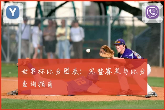 世界杯比分图表:完整赛果与比分查询指南