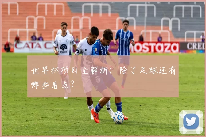 世界杯项目全解析:除了足球还有哪些看点?