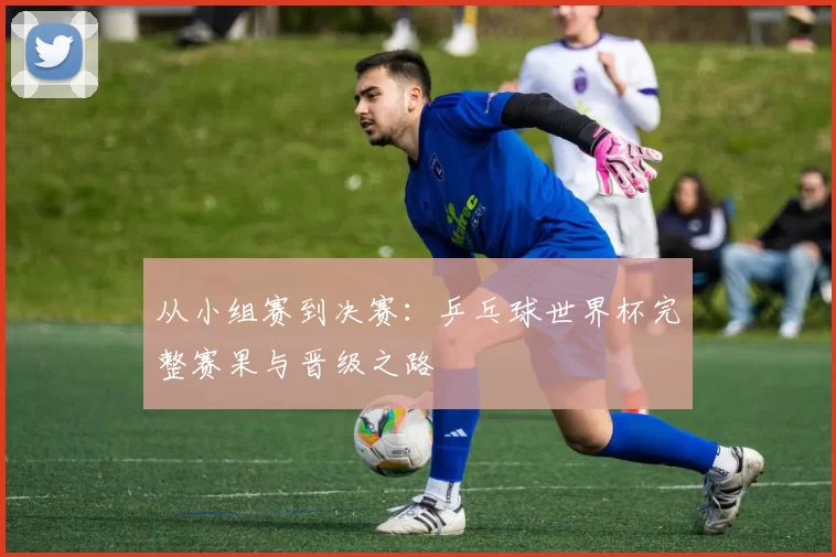 从小组赛到决赛:乒乓球世界杯完整赛果与晋级之路
