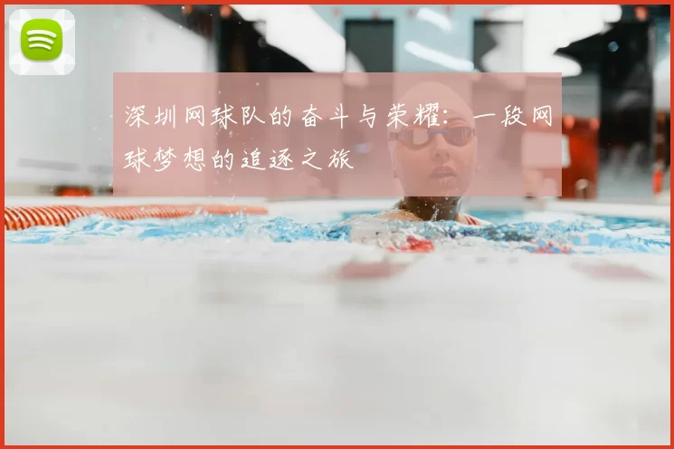 深圳网球队的奋斗与荣耀:一段网球梦想的追逐之旅