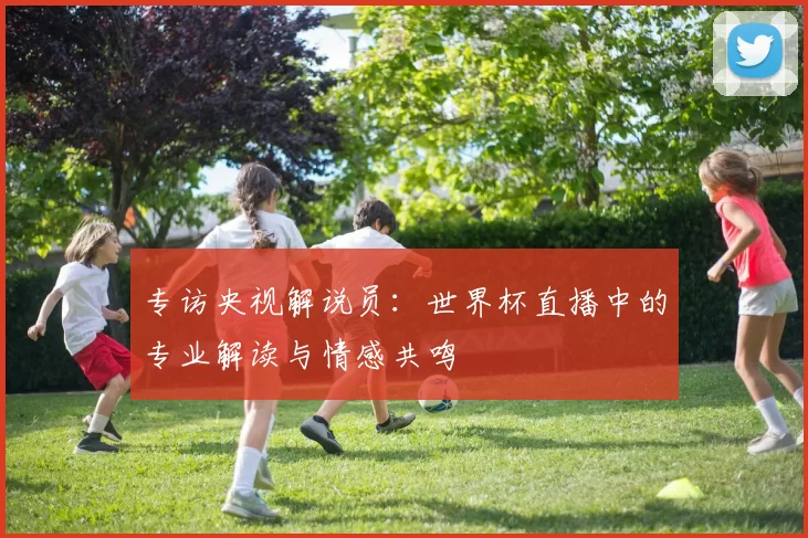 专访央视解说员：世界杯直播中的专业解读与情感共鸣