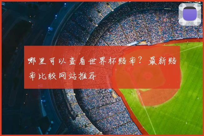 哪里可以查看世界杯赔率?最新赔率比较网站推荐