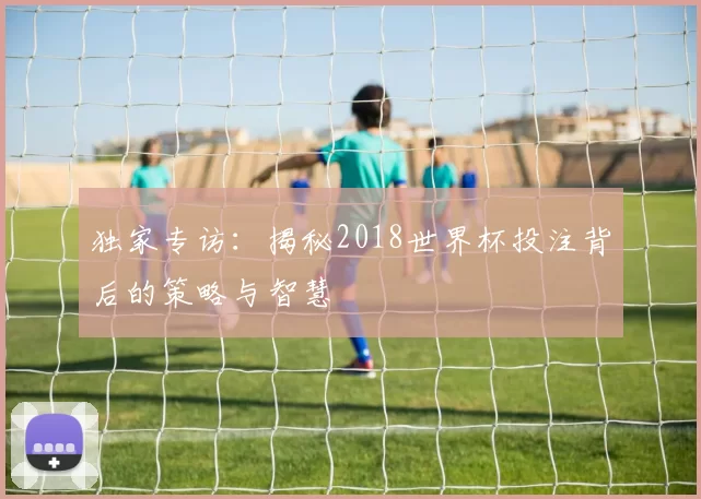 独家专访：揭秘2018世界杯投注背后的策略与智慧