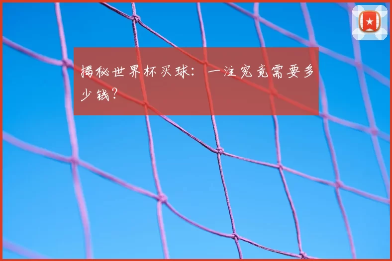 揭秘世界杯买球：一注究竟需要多少钱？