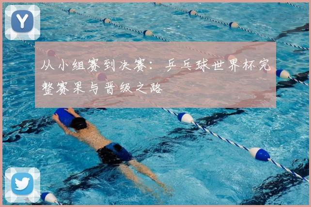 从小组赛到决赛:乒乓球世界杯完整赛果与晋级之路