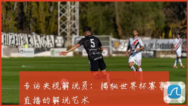 专访央视解说员：揭秘世界杯赛事直播的解说艺术