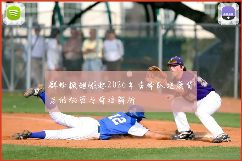 群蜂振翅崛起2026年黄蜂队逆袭背后的秘密与奇迹解析
